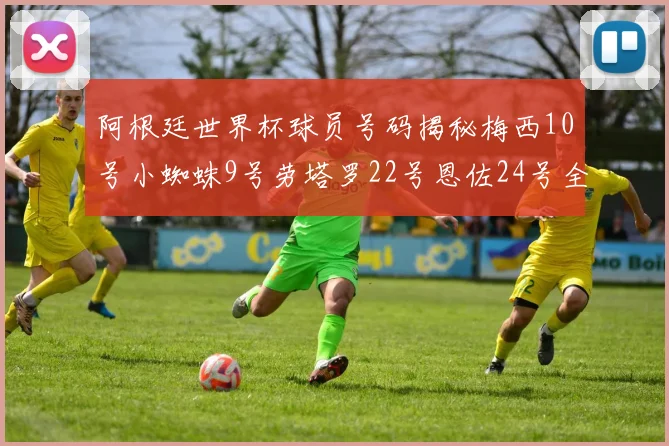 阿根廷世界杯球员号码揭秘梅西10号小蜘蛛9号劳塔罗22号恩佐24号全解析